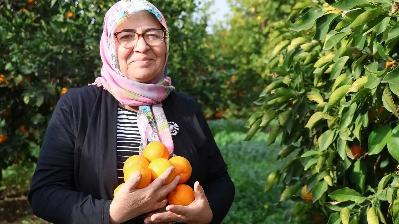 Adanalı Kadınlardan Turunç Mucizesi: Dalında Kalınca Servete Dönüştürdüler! 6